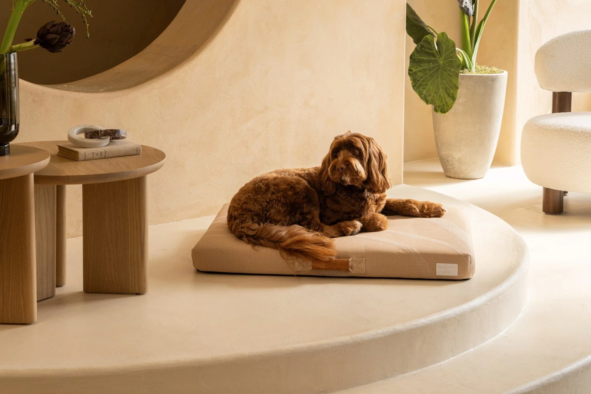 Elevated Style for Modern Pets